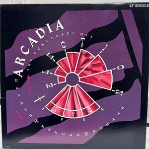 🎶✨ Arcadia – “Election Day” (The Consensus Mix) 12” Vinyl Single – 80s Gold ✨🎶